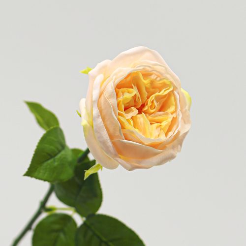 Real Touch Moisturizing Elsa Rose Yellow Image