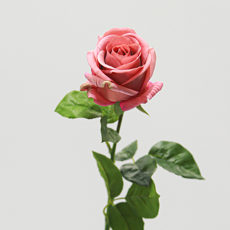 Real Touch Moisturizing Seasong Rose