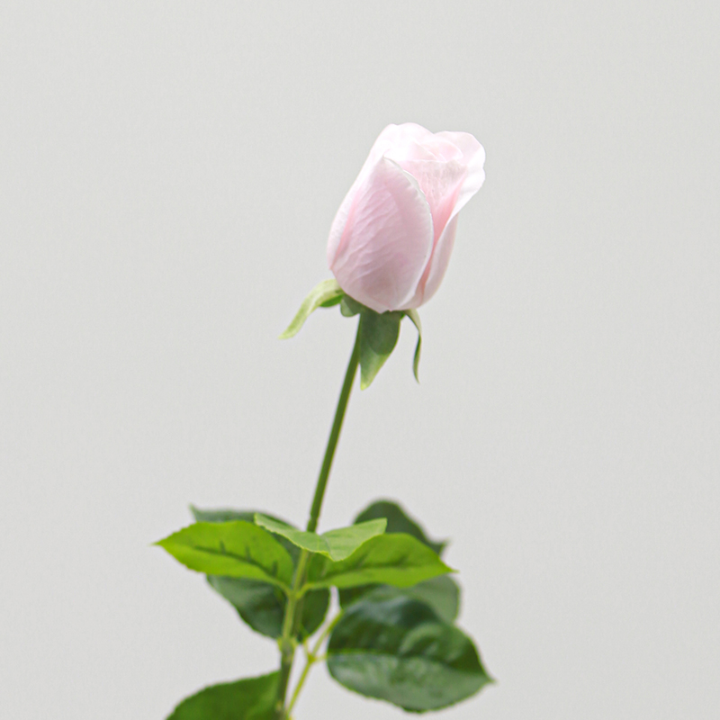 Real Touch Moisturizing Seasong Rose