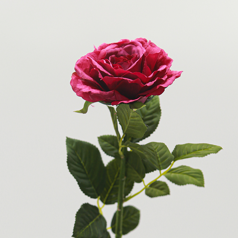 Real Touch Moisturizing Corolla Rose