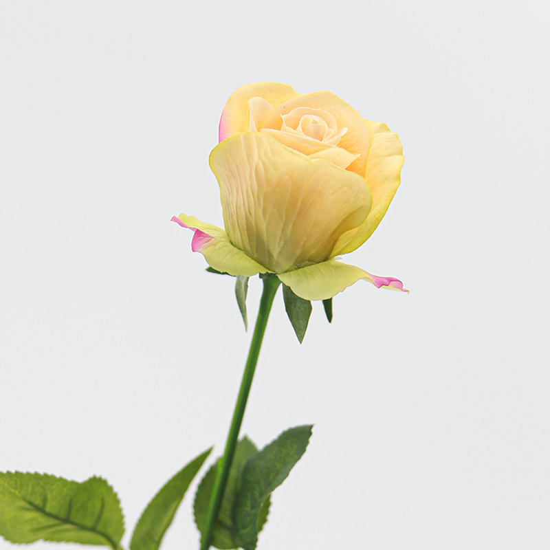 Real Touch Moisturizing Seasong Rose
