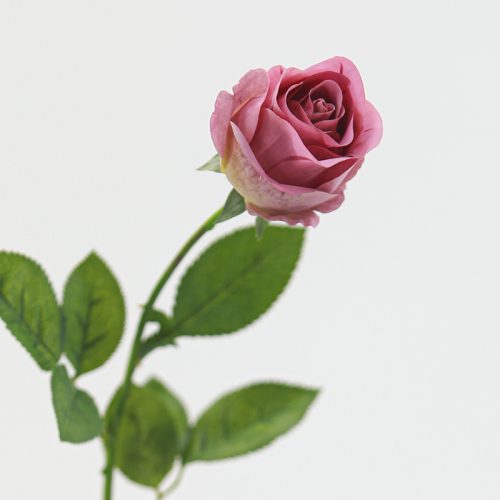 Real Touch Moisturizing Bulgarian Rose Featured Image