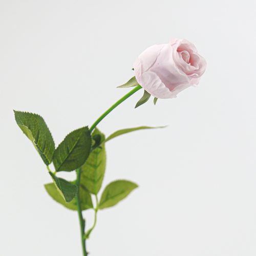 Real Touch Moisturizing Bulgarian Rose Pale Pink Image
