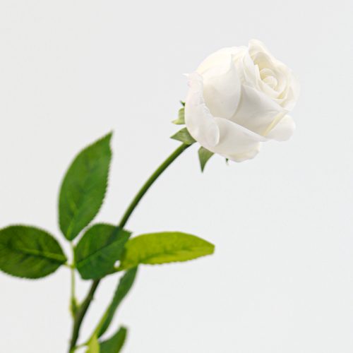 Real Touch Moisturizing Bulgarian Rose White Image
