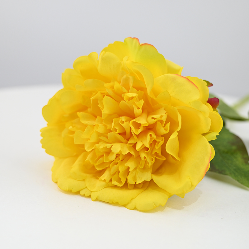 real touch Moisturizing Peony