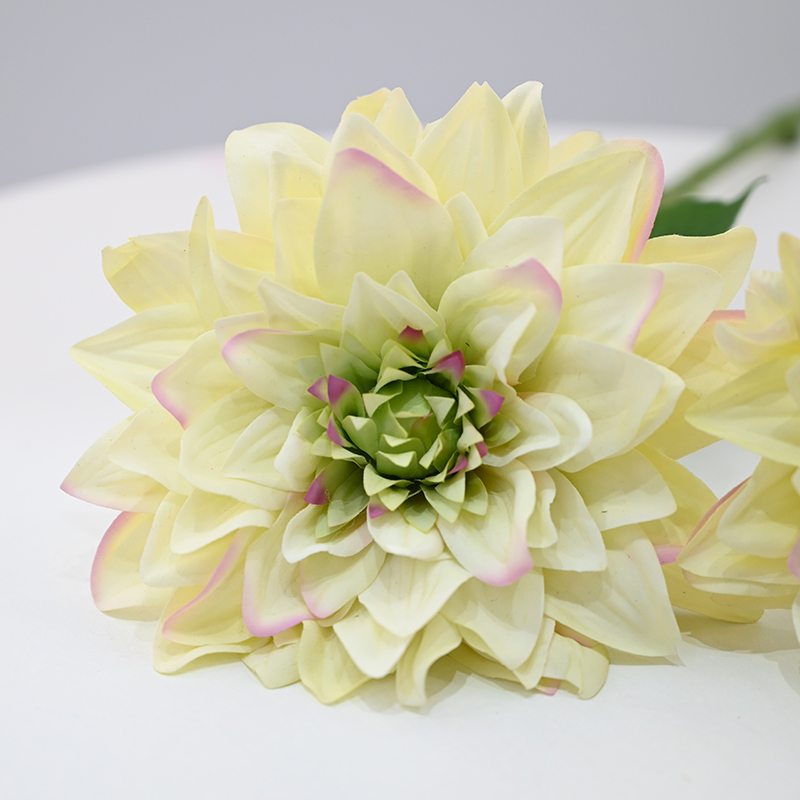 Real-Touch Moisturizing Dahlia
