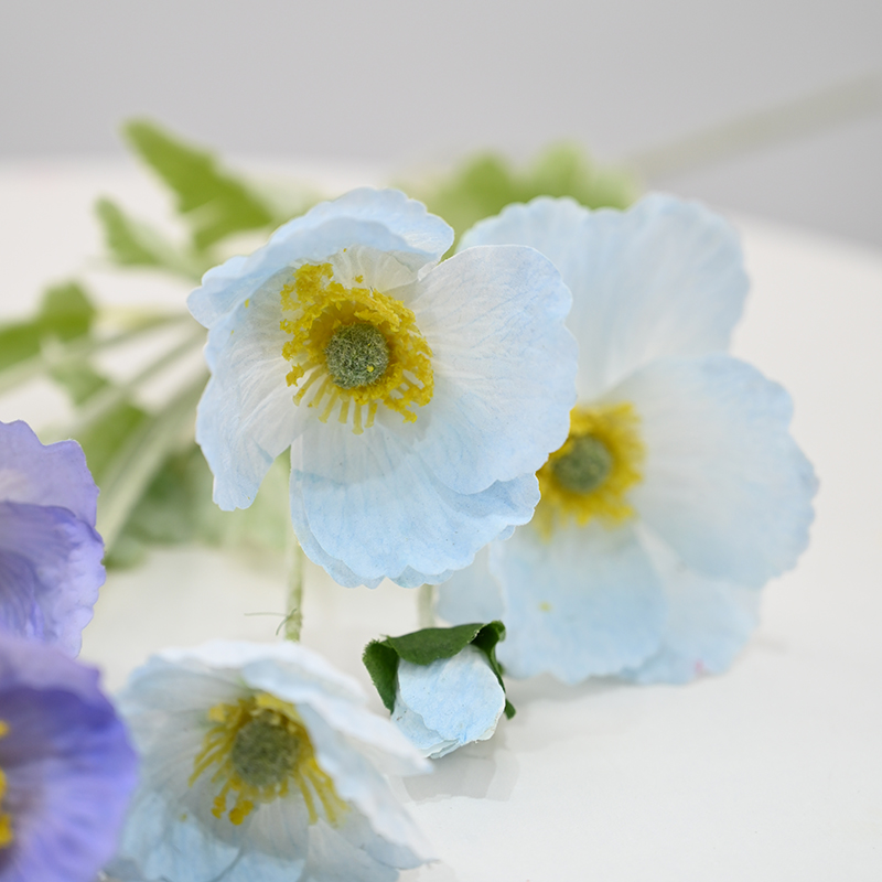 Real-Touch Moisturizing Poppy