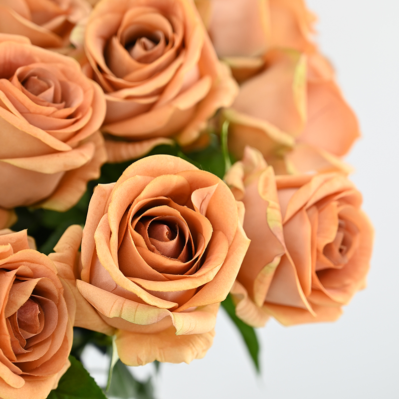 Real-Touch Moisturizing Venus Rose