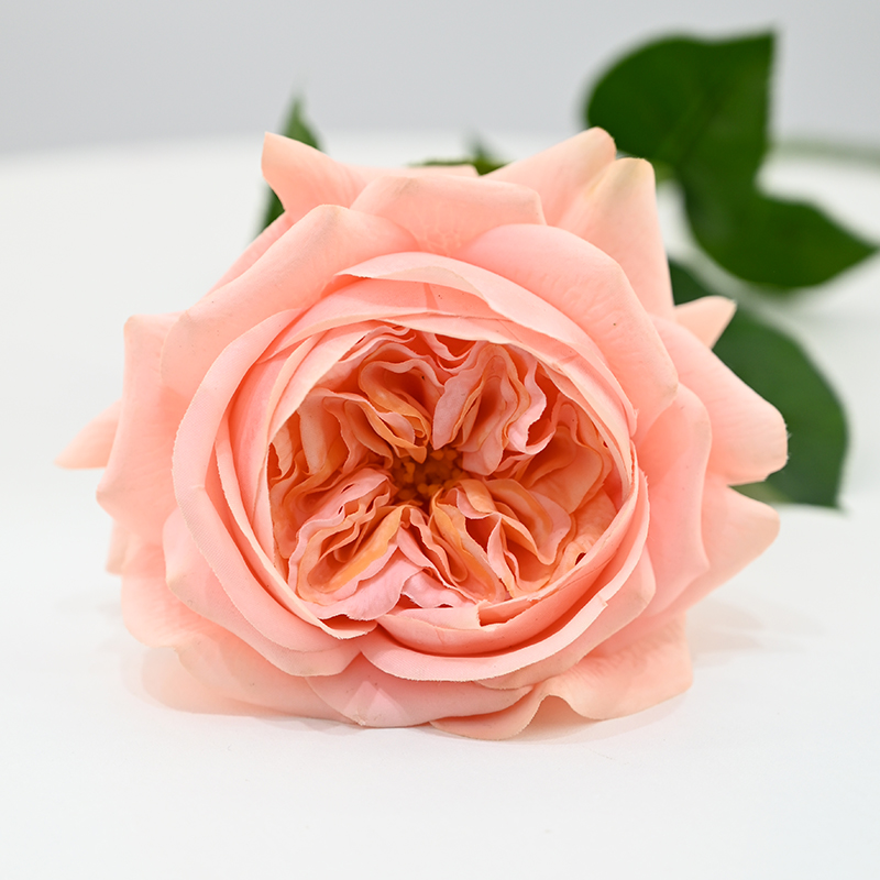 Real-Touch Moisturizing Juliet Rose