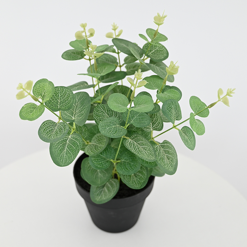 True-Touch Moisturizing Snow Mountain Rose Bouquet