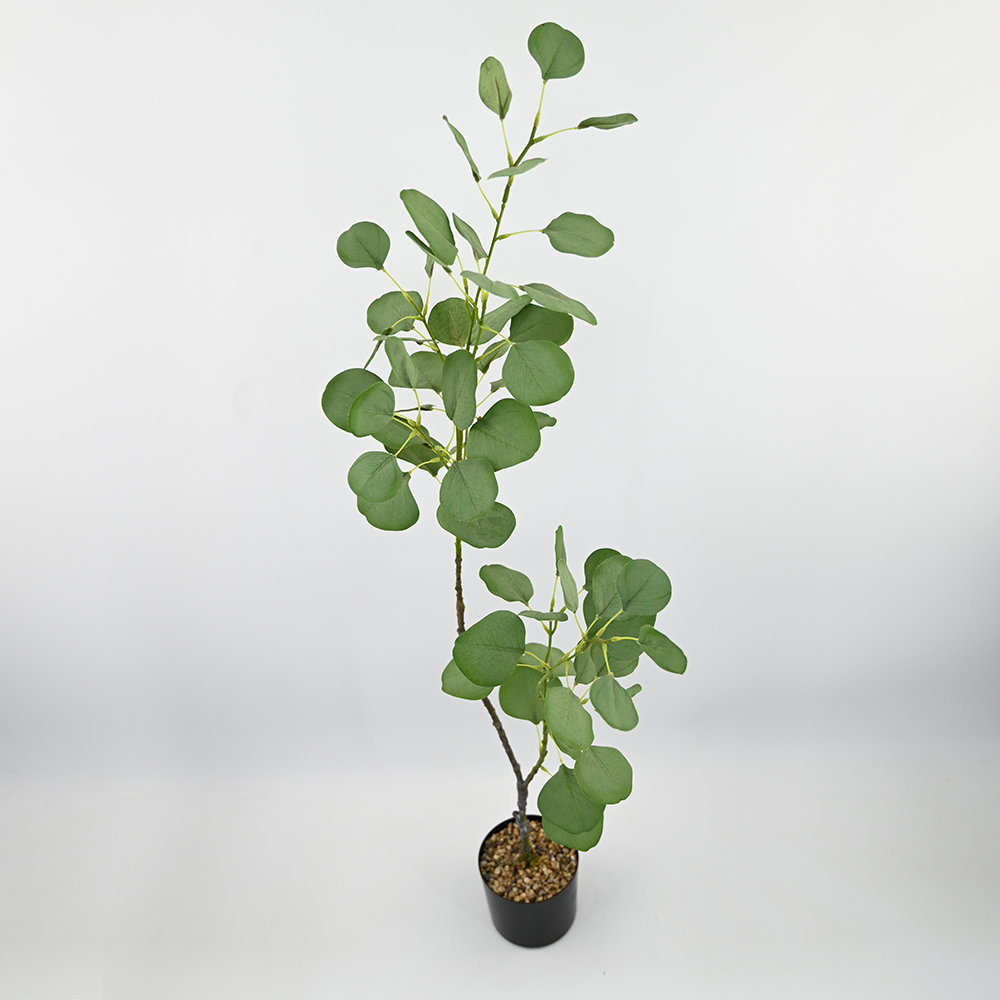 True-Touch Moisturizing Snow Mountain Rose Bouquet