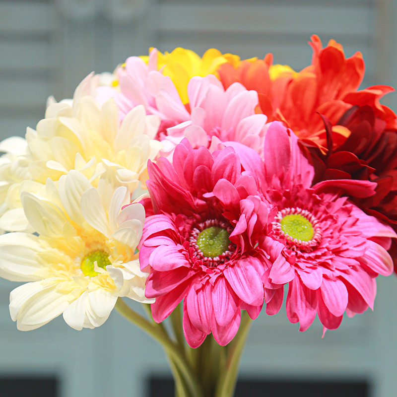 Real-Touch Moisturizing Gerbera Daisy