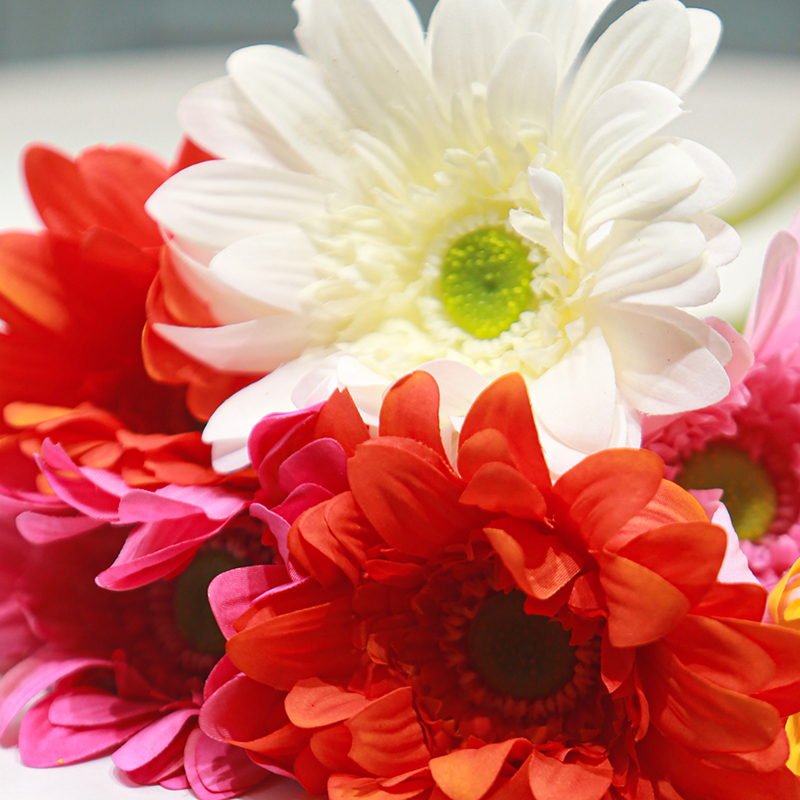 Real-Touch Moisturizing Gerbera Daisy