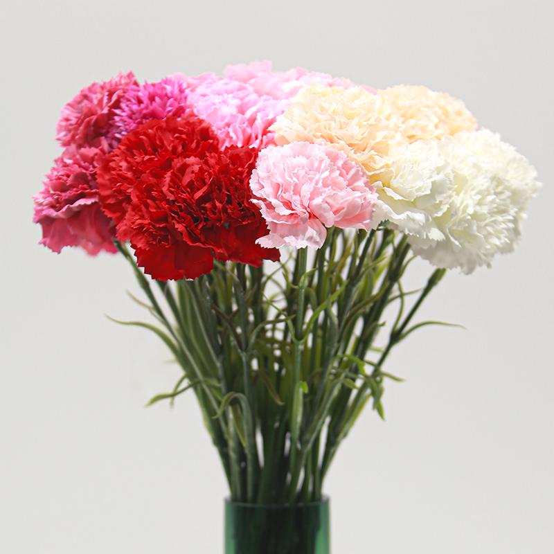 Real-Touch Moisturizing Carnation
