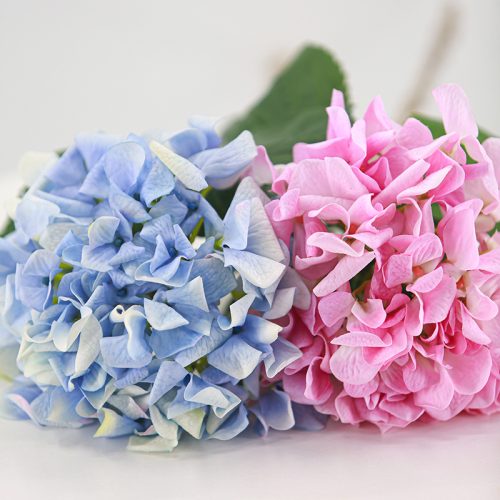 Real-Touch Moisturizing Ruffled Hydrangea Featured Image