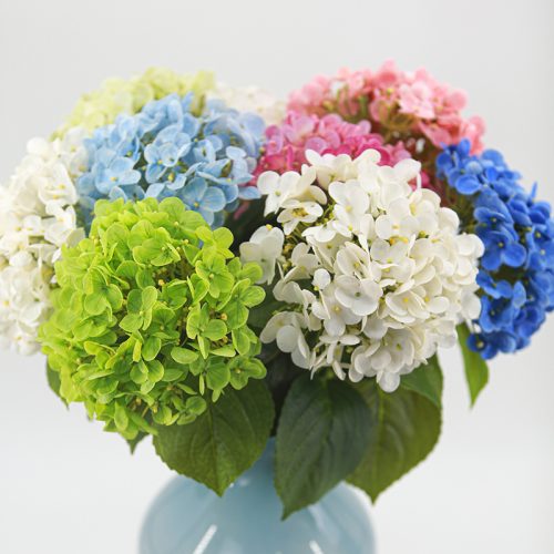 Real-Touch Film Hydrangea Featured Image