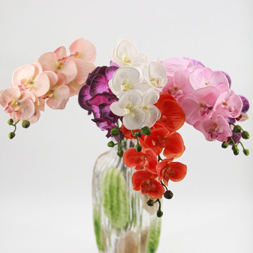 Soft-touch rubber 7-head Phalaenopsis Featured Image