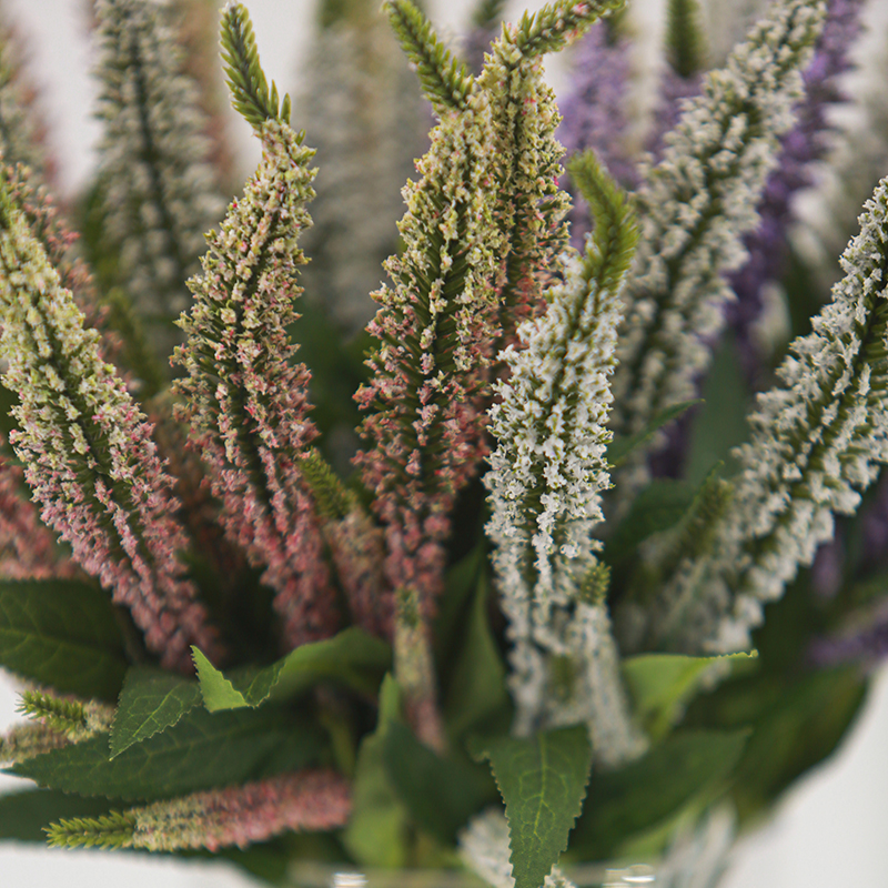 Artificial Sage Bundle