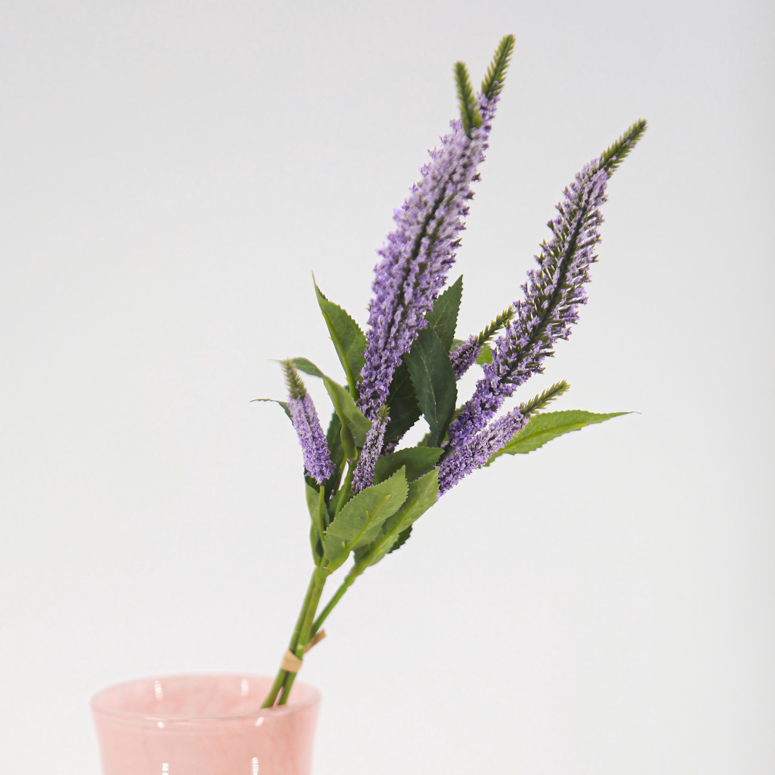 Artificial Sage Bundle