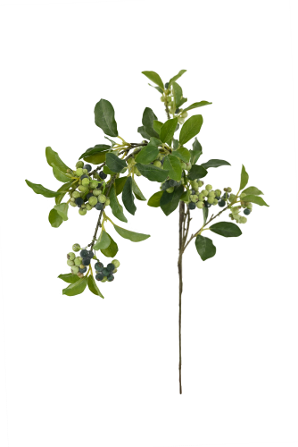 Artificial Plants Featured Image