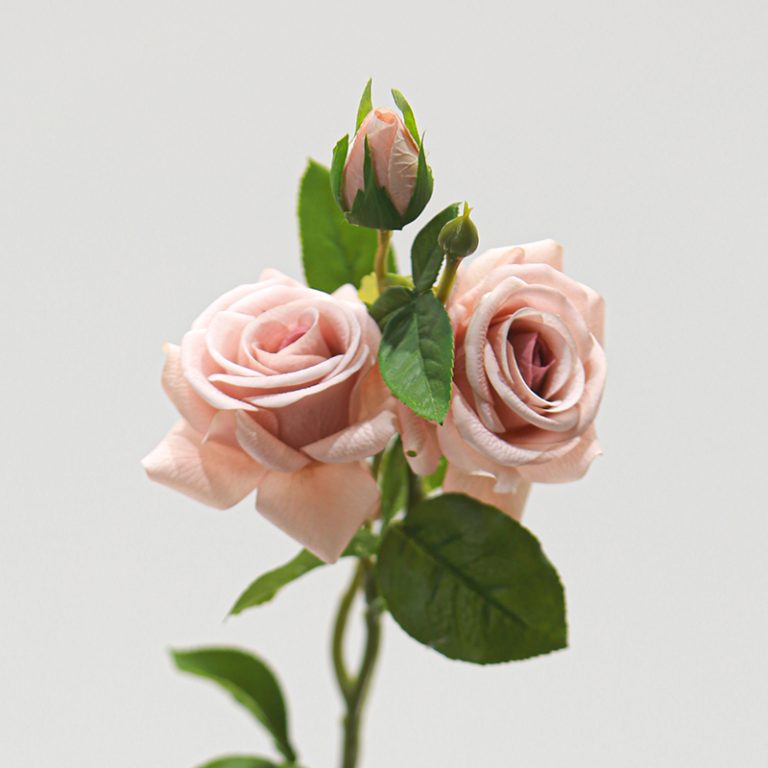 Real Touch Moisturizing Artificial Cappuccino Rose - Blossom-Sparkling