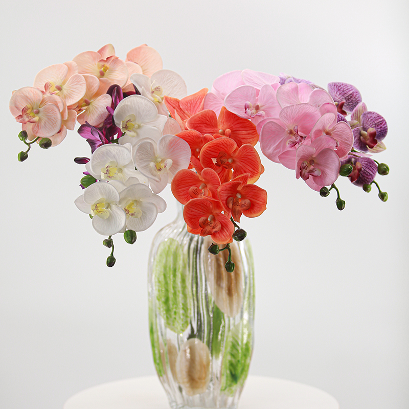 Soft-touch rubber 7-head Phalaenopsis