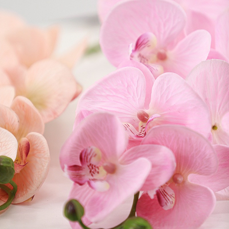 Soft-touch rubber 7-head Phalaenopsis