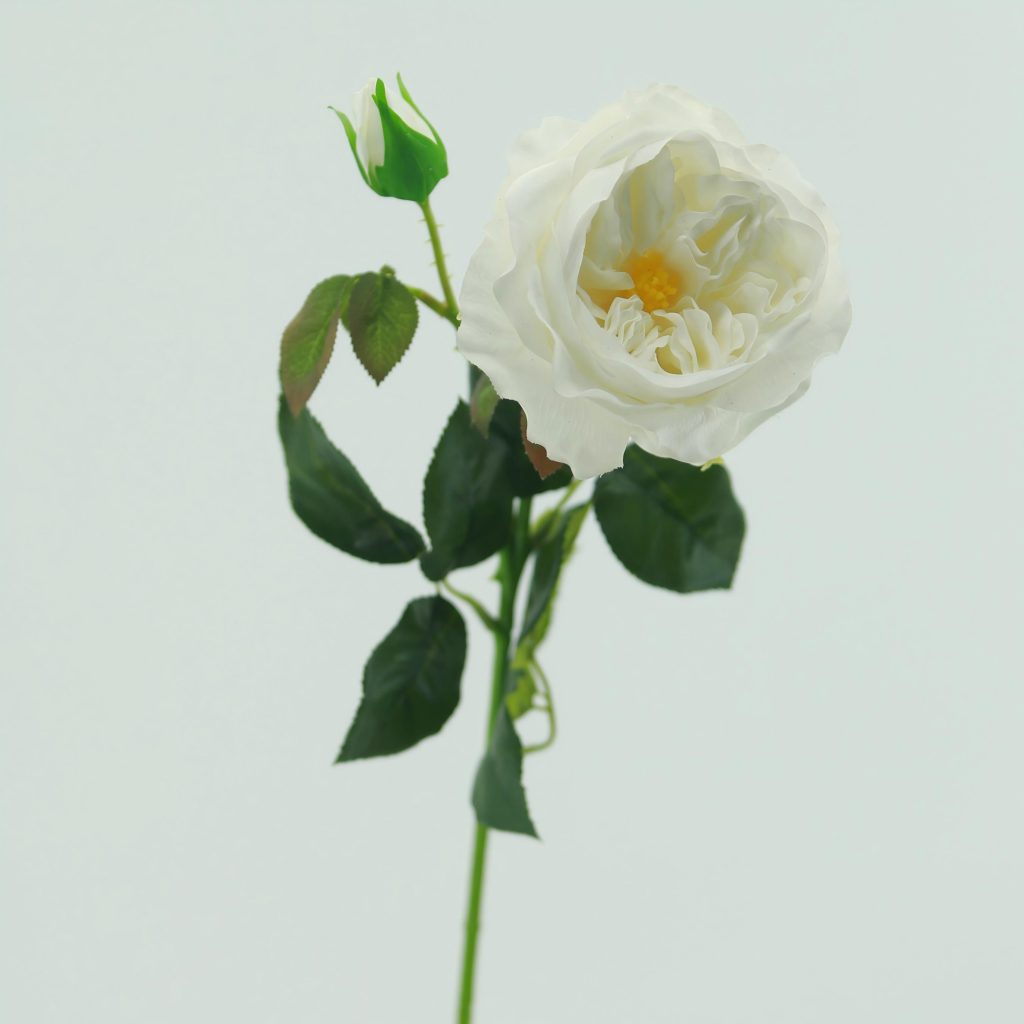 Real-Touch Moisturizing 2‑head Lychee Rose